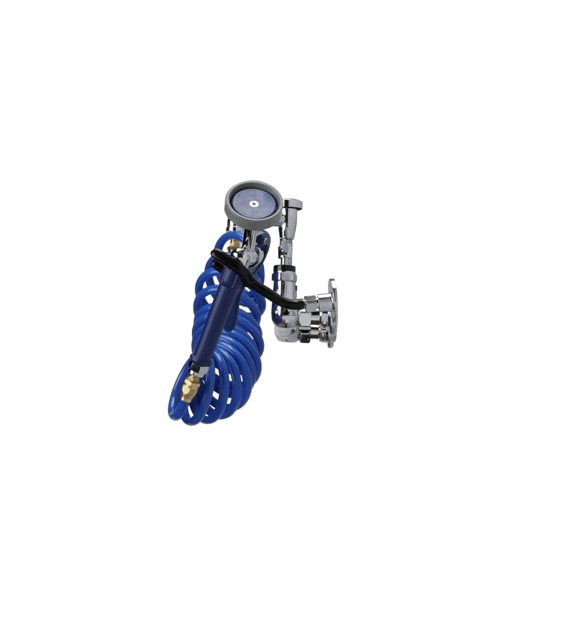 Encore 8" OC Wall Mount Veterinary Faucet with 108" Blue Coiled Hose, Vacuum Breaker and Lightweight Aluminum Side Sprayer