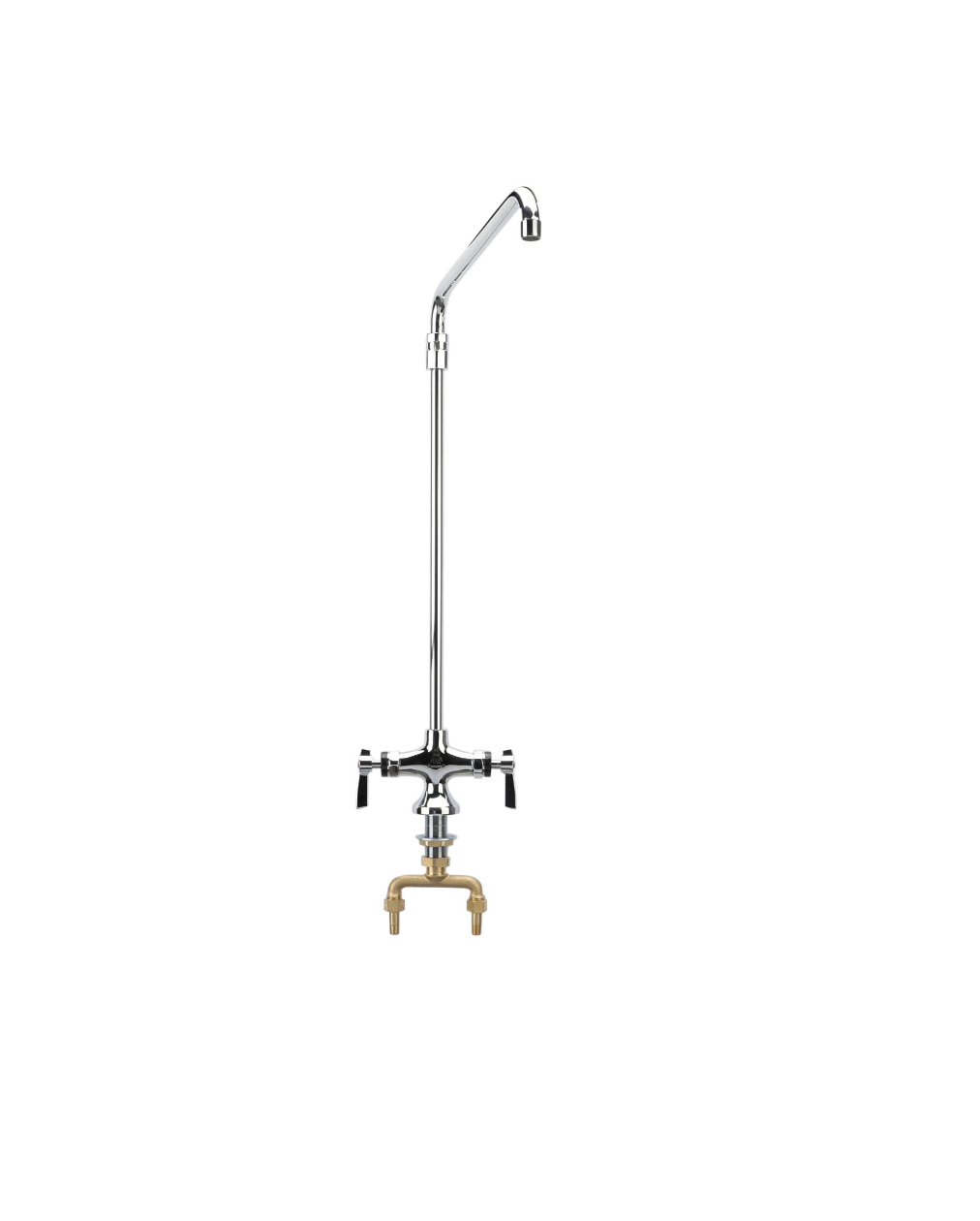 Encore® Brass Chrome Plated Double Pantry Faucet with Elevated 12" Swivel Spout