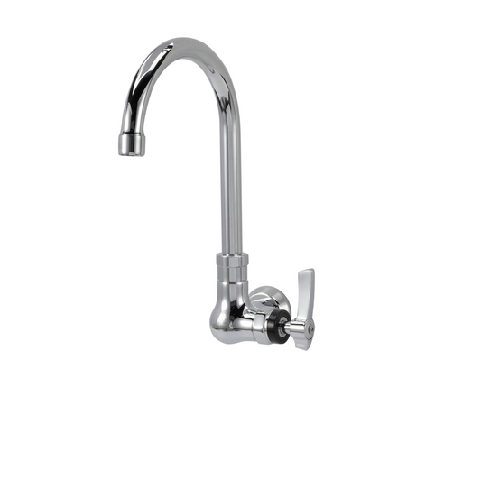 Encore® Brass Chrome Plated Single Wall Mount Faucet with 6" Rigid Gooseneck Spout
