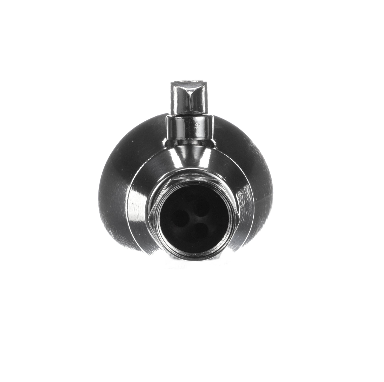 Encore® SaniShower™ Chrome Plated Brass Shower Head with SANIGUARD® Antimicrobial Product Protection